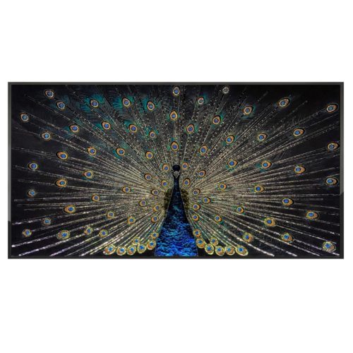 Peacock