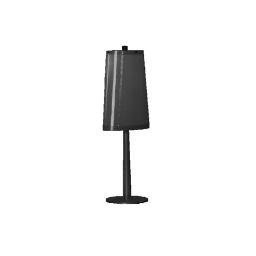 L CONIC1 01