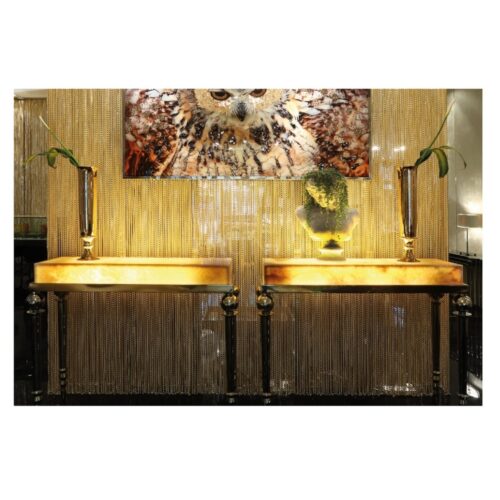 CYCAS CONSOLE