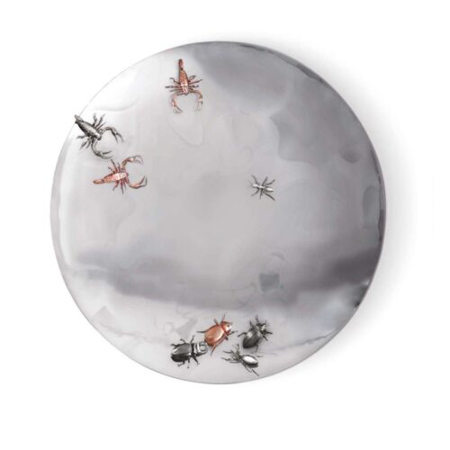 CONCAVE20METAMORPHOSIS