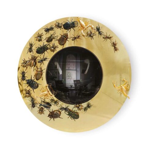 CONVEX20METAMORPHOSIS