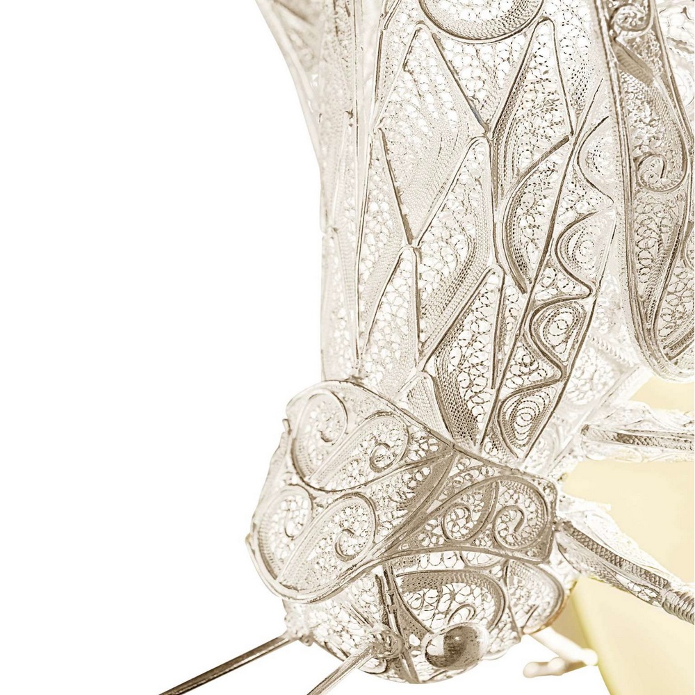 FILIGREE20CRICKET 01