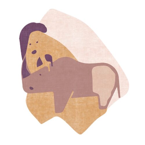 MR. RHINO
