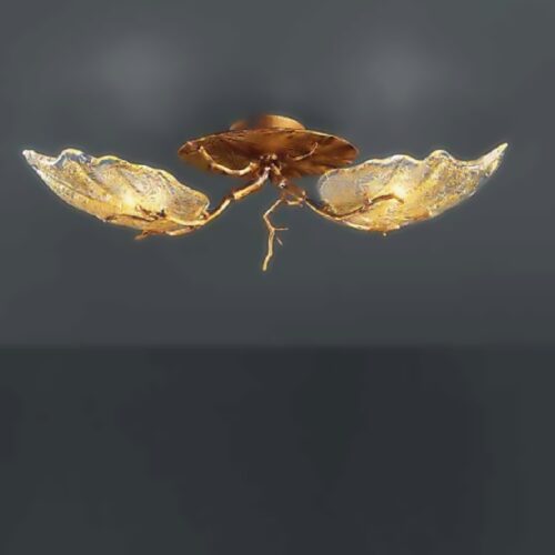 PL298 2