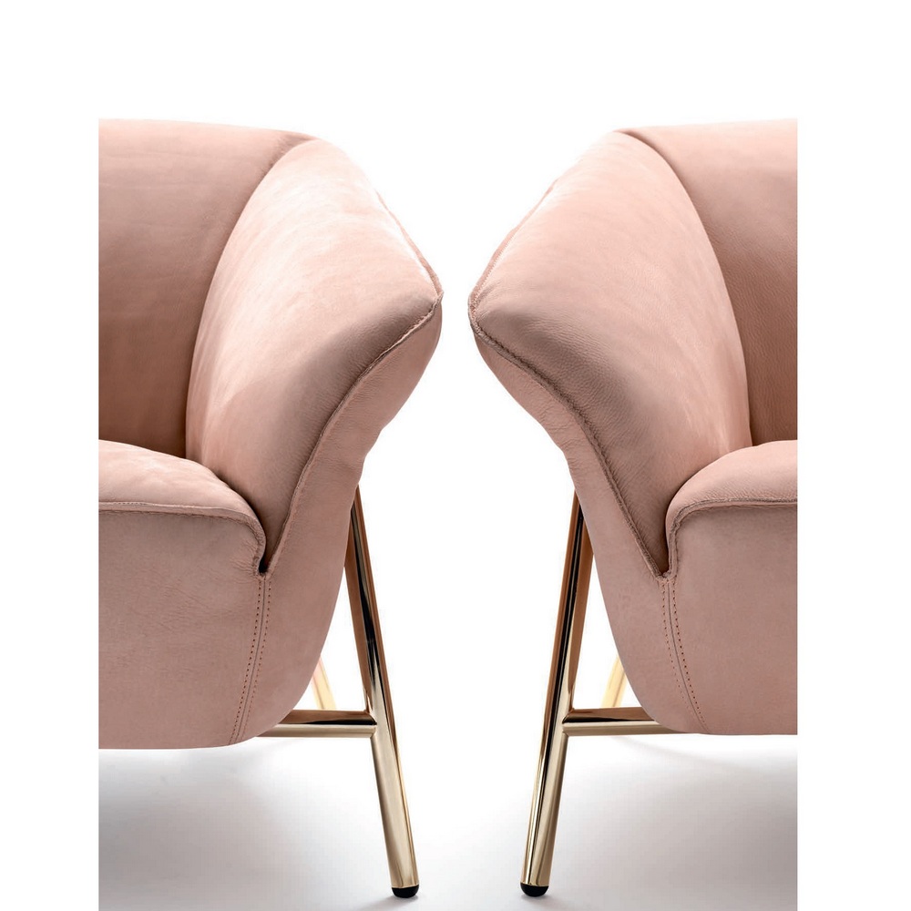 DORA LUXURY 01