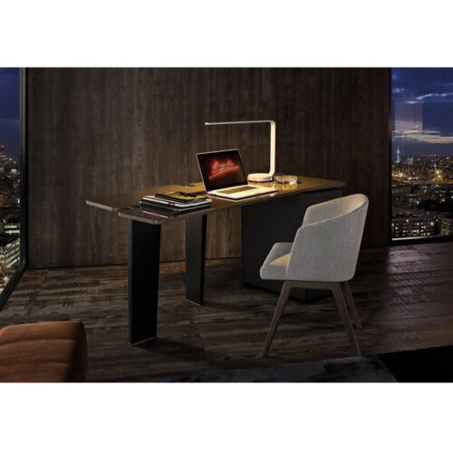 JACOB WRITING DESK